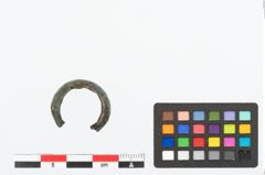 Foto von Bronzehohlblechring (NHMW-PRAE-025220)